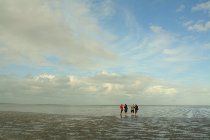 Eine Reisegruppe im Wattenmeer auf den Nordfriesischen Inseln.