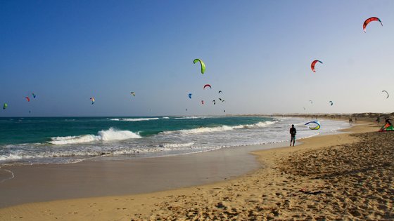 Man sieht einen ausgedehnten Strandabschnitt mit gelbem Sand und leuchtend blauem Meer. Über dem Meer befinden sich viele Schirme von Kitesurfern.
