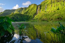 Der Algoinha-Wasserfall auf Flores Ein Wasserfall inmitten von grüner Umgebung