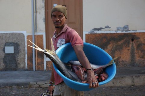 Ein Mann transportiert Fische in einem blauen Eimer