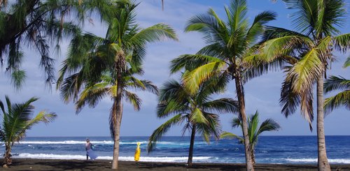 Dunkler Palmenstrand auf der Insel La Réunion