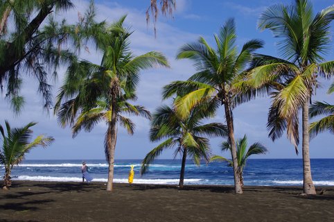dunkler Strand am Meer mit vereinzelten Palmen