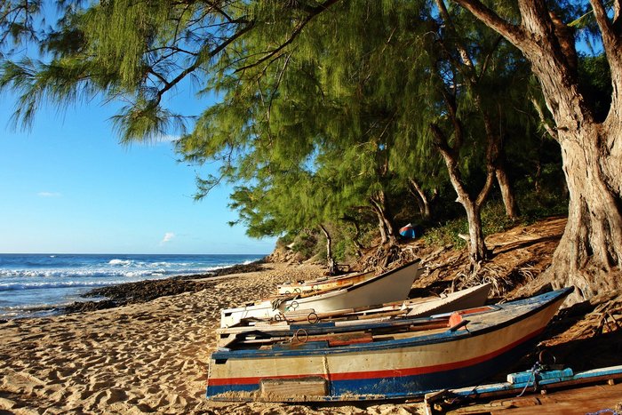 An einen mit Bäumen überdachten Sandstrand am Meer liegen kleine Boote