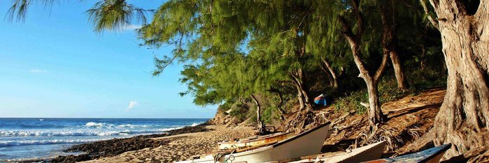 Sonne, Strand & Meer in Mosambik An einen mit Bäumen überdachten Sandstrand am Meer liegen kleine Boote