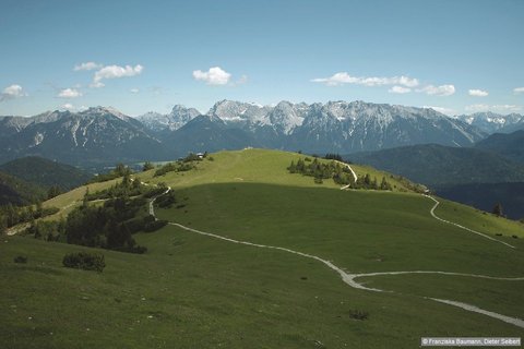 Wanderweg mit schönem Panorama am Roßwank