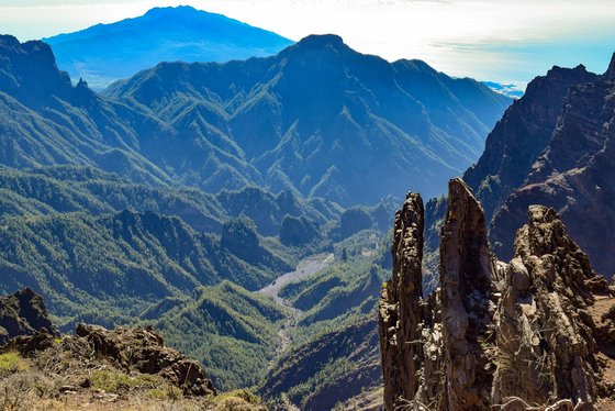 Ein sehr grüner Krater auf La Palma