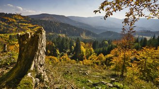 Aussicht auf die Herbstlandschaft der Niederen Tatra in der Slowakei