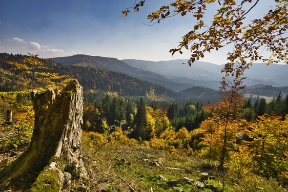 Aussicht auf die Herbstlandschaft der Niederen Tatra in der Slowakei