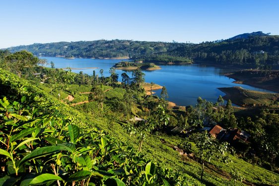 Ein breiter Fluss umgeben von Hügeln und Regenwald in Sri Lanka.