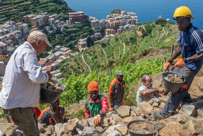 Arbeiter der Fondazione Manerola bessern die Natursteinmauern in einem Weinberg der italienischen Cinque Terre aus.