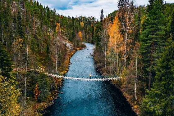 Wandern in Finnland Ein Wanderer läuft über eine Brücke, die zwei finnische Waldstücke miteinander verbindet