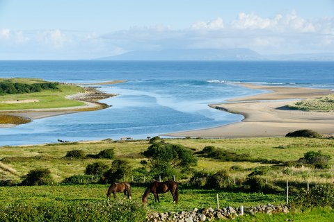 Strand mit Meeresmündung und zwei Pferden auf einer Wiese