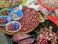 Lokaler Markt in Chiang Mai