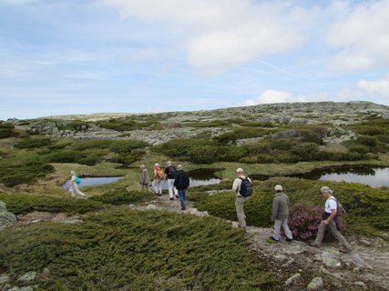 Wandergruppe wandert durch die Natur