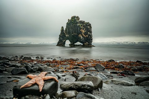 Ein Seestern, der an einem felsigen Strand neben einer Felsformation liegt