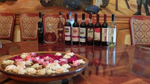 Weinprobe in Usbekistan Verschiedene Weine auf einem Tisch bei einer Weinprobe