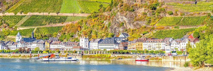 Blick auf die Häuser, die sich im Hang der grünen Weinberge stehen. Im Vordergrund fließt ein großer Fluss.
