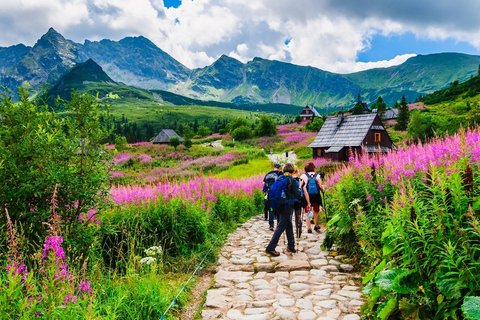 Eine Reisegruppe wandert durch das malerische Gąsienicowa-Tal nahe Zakopane, umgeben von den beeindruckenden Bergen der Tatra.