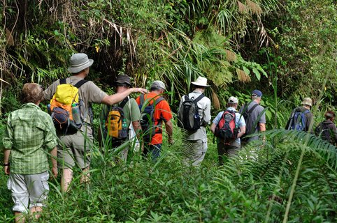 Wandergruppe läuft durch einen Wald