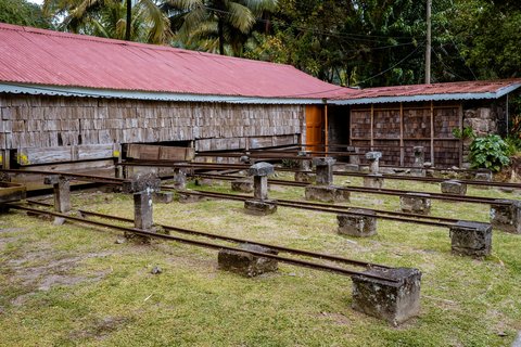 Kakaoplantage mit einem alten Haus im Hintergrund auf Sao Tomé