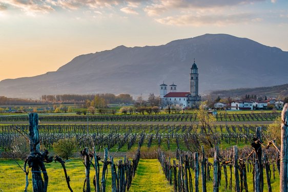 Weinanbau im Vipava-Tal