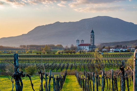Weinanbau im Vipava-Tal Weinanbau im Vipava-Tal