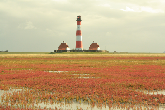 Der Eiderstedter Leuchtturm Hinten im Bildmittelgrund erhebt sich ein horizontal rot-weiß-gestreifter Leuchtturm, der von zwei Häusern mit roten Walmdächern flankiert wird. Die vordere Bildhälfte besteht aus Wiese mit grünem und rotem Bewuchs. Der Himmel darüber ist grau.