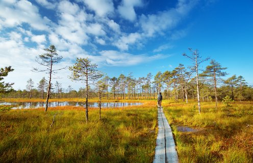 Zwei Wanderer laufen über Holzplanken durch die unberührte Natur des Nationalparks