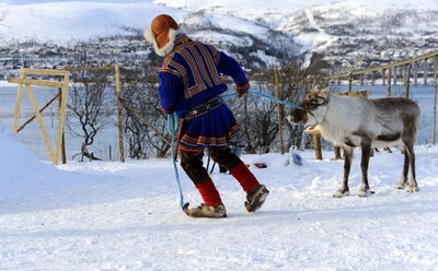 Samische Kultur in Schwedisch Lappland erleben Ein Lappe in traditioneller Kleidung zieht ein Rentier hinter sich her.