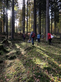 Pilze suchen im Wald beim Team Ausflug von Reisen mit Sinnen