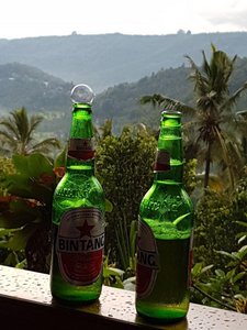 2 Getränke im Vordergrund mit der grünen Landschaft im Hintergrund