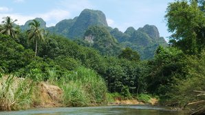 Khao Sok Nationalpark Khao Sok Nationalpark