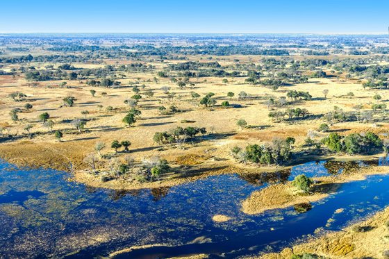 Luftaufnahme einer sich bis zum Horizont erstreckenden Ebene. Etwa im unteren Drittel des Fotos sieht man eine von kleinen Landmassen durchbrochenen Wasserfläche. Die sich dahinter erstreckende, gelbe Landfläche ist mit einzelnen Bäumen und Baumgruppen bestanden. Darüber erstreckt sich blauer Himmel.