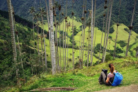 Wanderin sitzt an einem Hang mit Palmen und schaut ins Tal