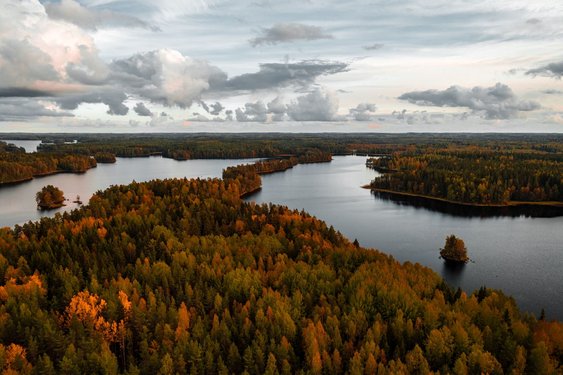 In einer herbstlich verfärbten Waldlandschaft befinden sich mehrere große Wasserflächen.