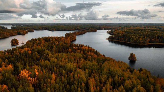 In einer herbstlich verfärbten Waldlandschaft befinden sich mehrere große Wasserflächen.