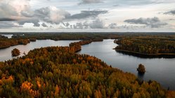 In einer herbstlich verfärbten Waldlandschaft befinden sich mehrere große Wasserflächen.