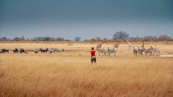 Eine Frau beobachtet Giraffen und Zebras in der Steppe