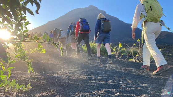Perspektive von unten, wie Wanderer einen Berg hochsteigen. Im Vordergrund sind kleine Steinchen und Pflanzen.
