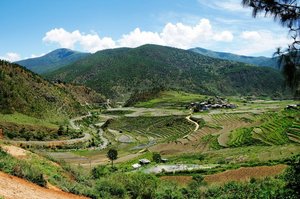 Grüne Felder im Lobesa Tal unter blauem Himmel