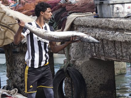 Ein Mann hält einen langen Fisch in der Hand