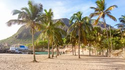 Weißer Sandstrand umsäumt von Palmen in Santiago