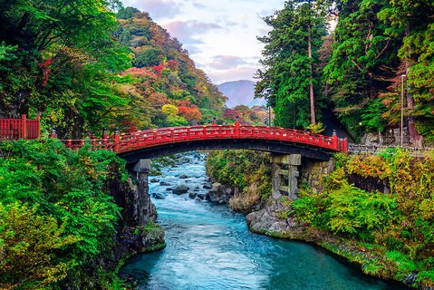 Eine rote Fußgängerbrücke, die über einen Fluss zwischen dichtem grünen Wald verläuft.
