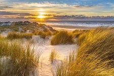 Romantische Stimmung in den Dünen Dünen am Meer bei Sonnenuntergang auf den Nordfriesischen Inseln.