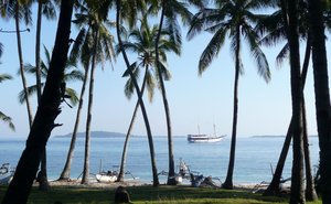 Blick durch die Palmen auf das Meer mit einem Boot