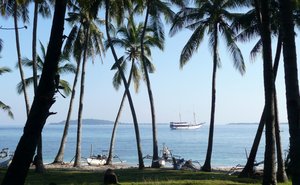 Bali Schiffstour in Indonesien Blick durch die Palmen auf das Meer mit einem Boot