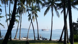 Blick durch die Palmen auf das Meer mit einem Boot