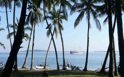 Blick durch die Palmen auf das Meer mit einem Boot