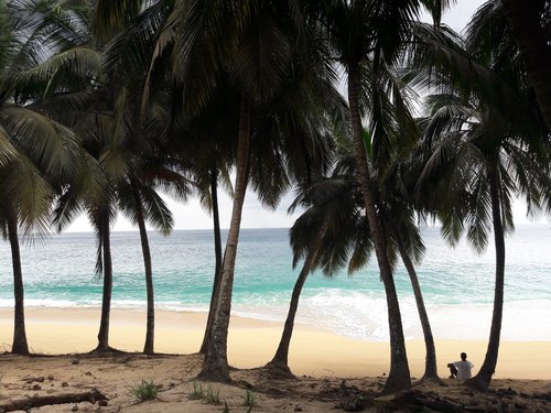 Palmen am Strand Belomonte, mit dem Meer im Hintergrund, auf Sao Tomé