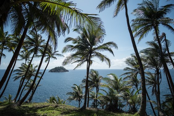 Palmenumsäumte Aussicht vom Club Santana auf São Tomé und Príncipe